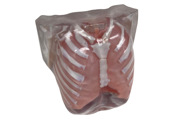 Plastic Ribcage Mock Up