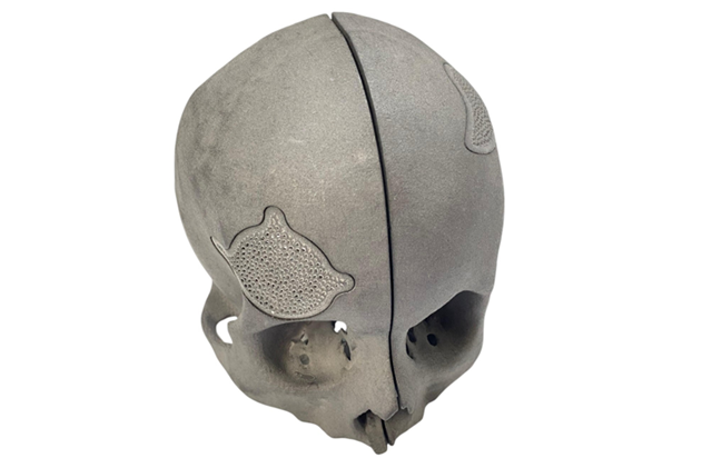 Plastic Skull Mock Up